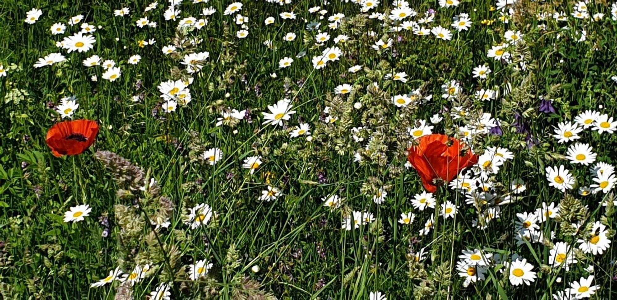 Villa Vy Rättvik Dış mekan fotoğraf