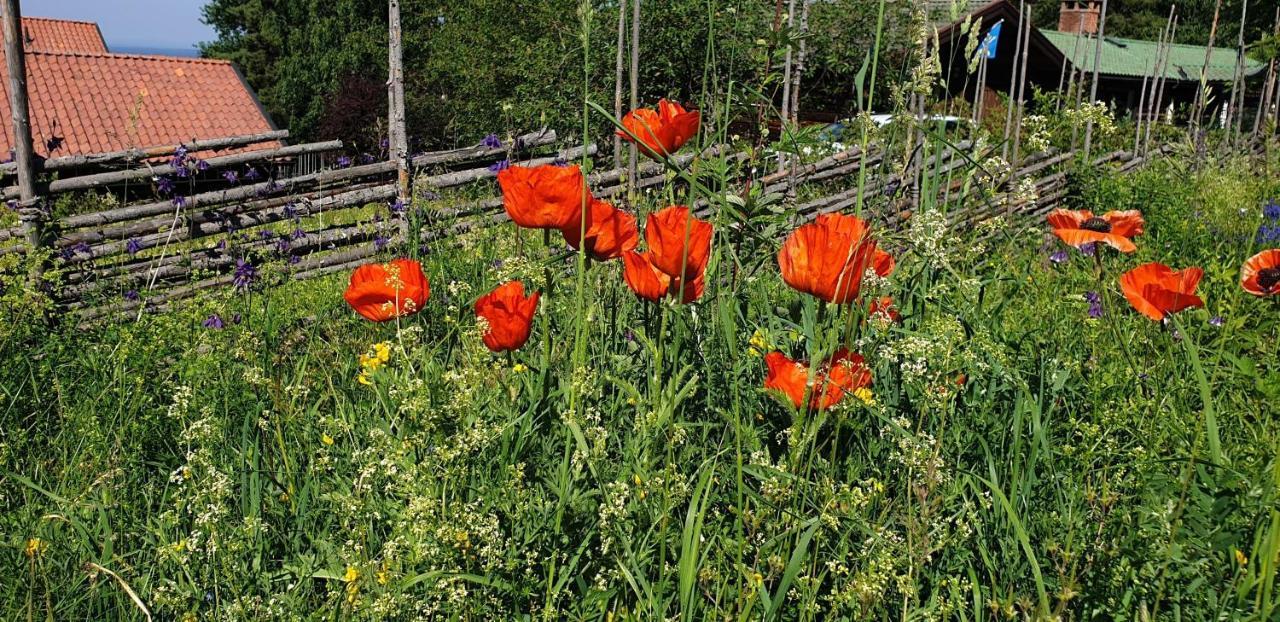 Villa Vy Rättvik Dış mekan fotoğraf